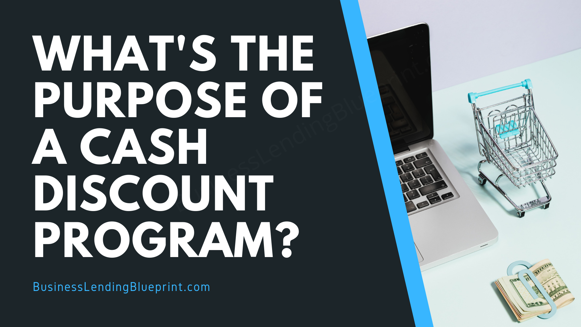 Cash Discount Program Meaning