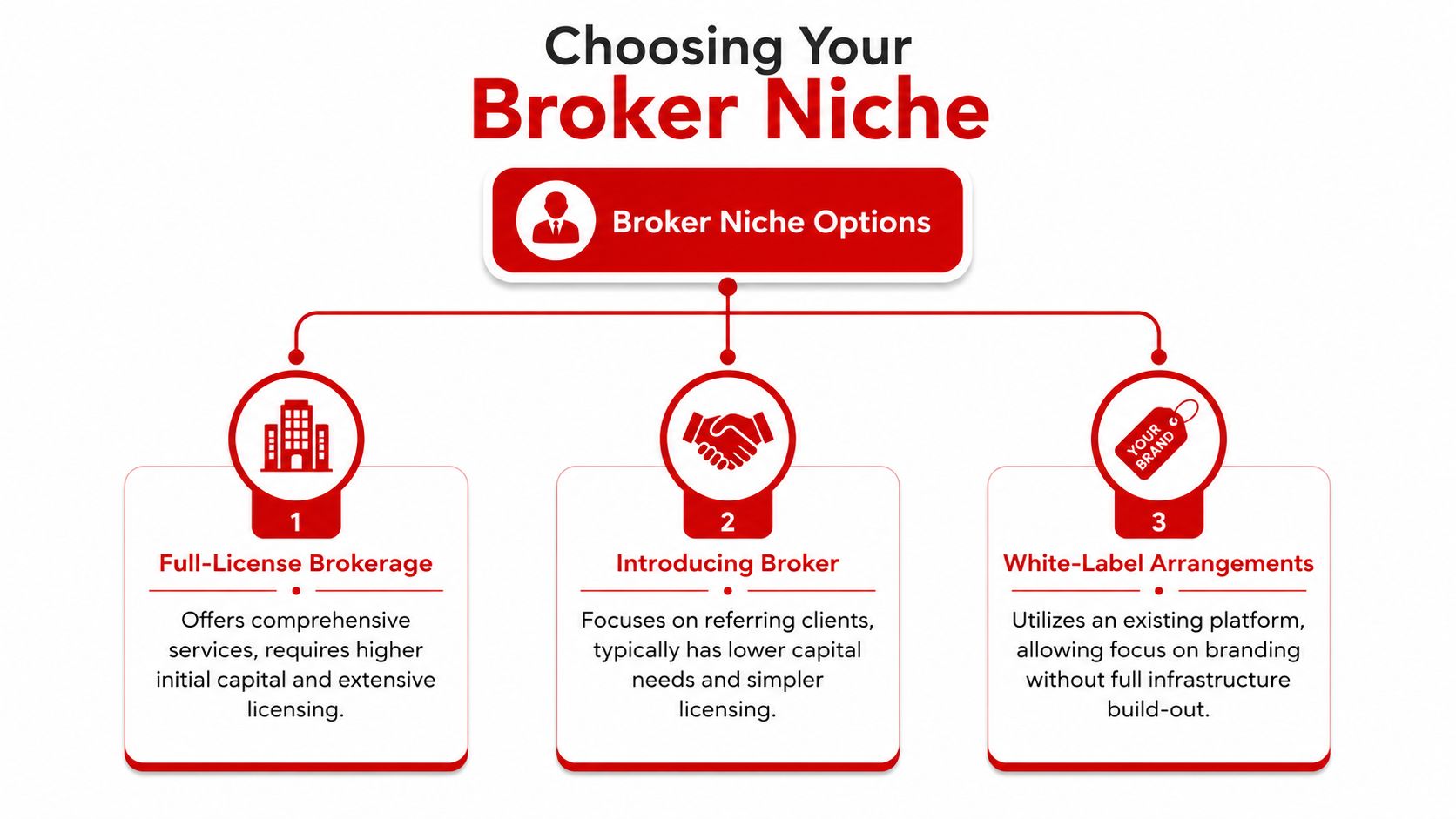 An infographic outlining three different options for choosing a brokerage niche, including full-license, introducing broker, and white-label.